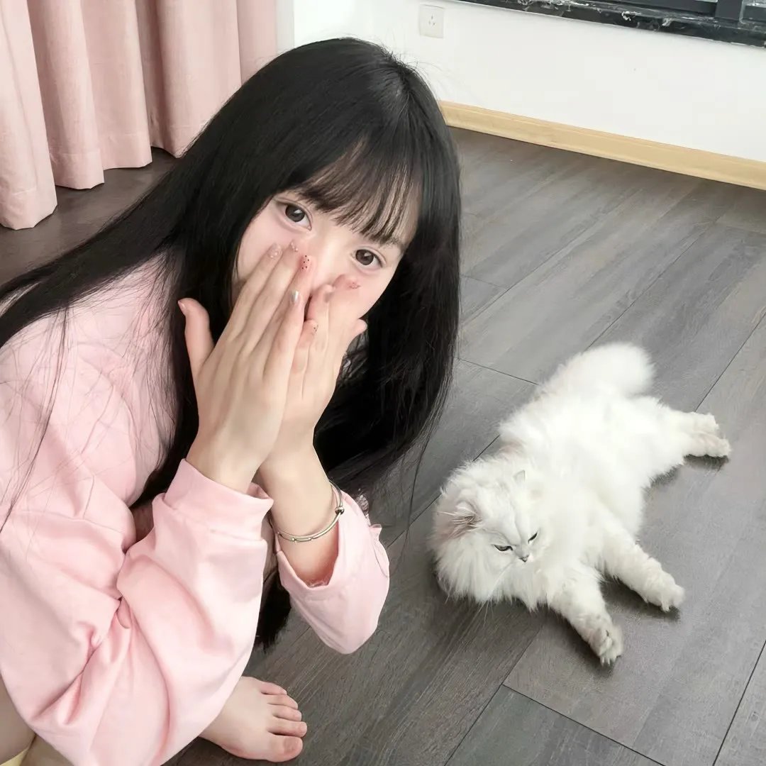 斯派克岛冒险之旅